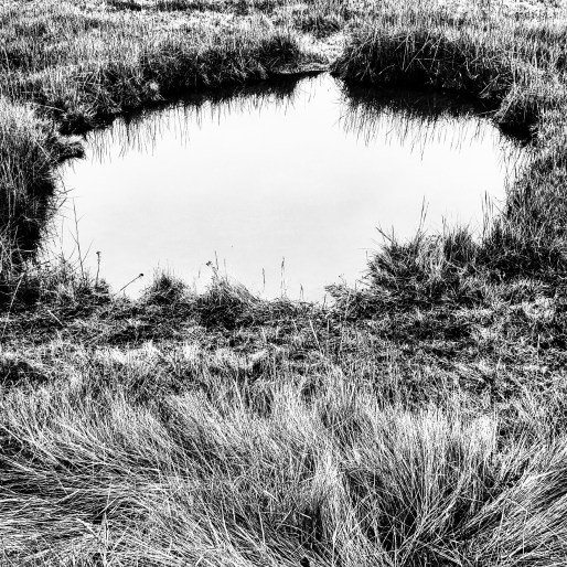 img_20170109_162737_925