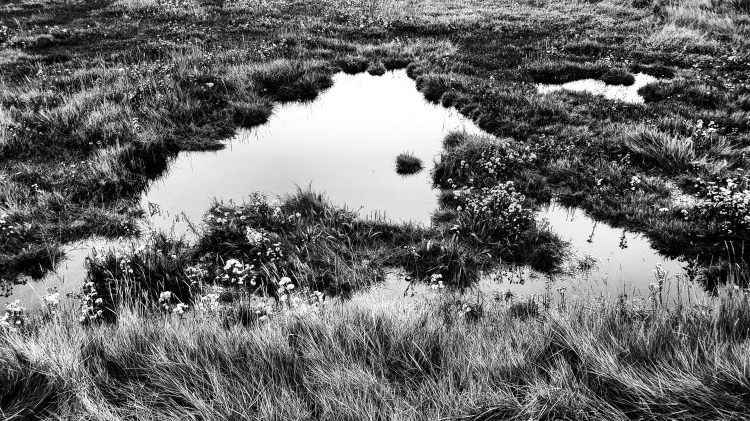 IMG_20171107_183501_128