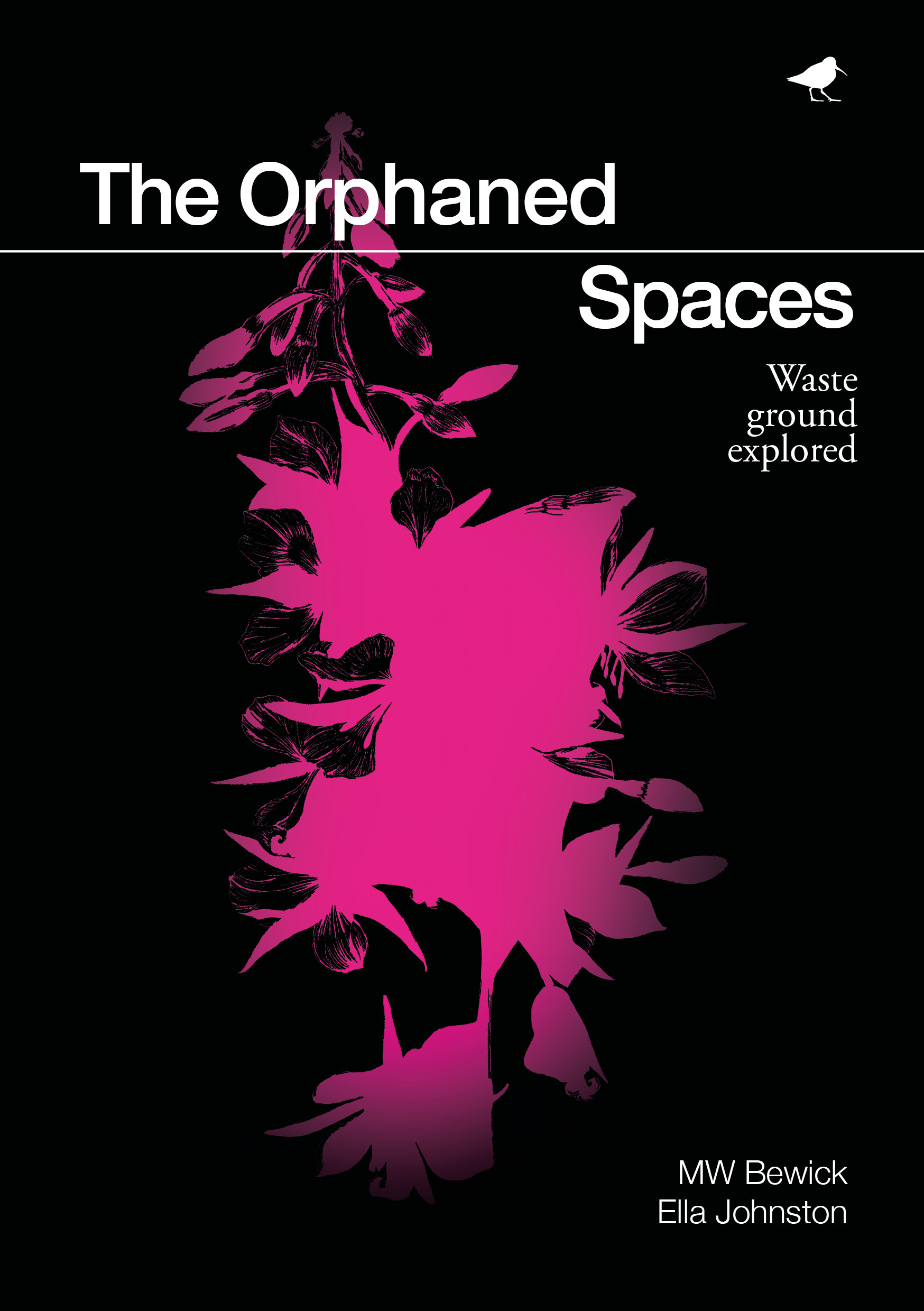 TheOrphanedSpacesCover