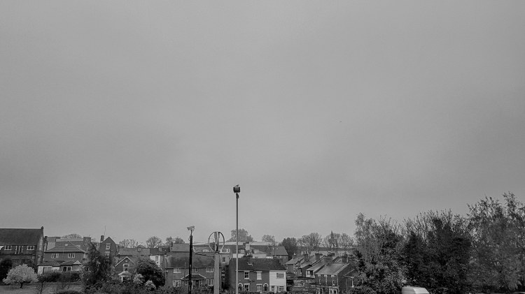 IMG_20181116_125855_336